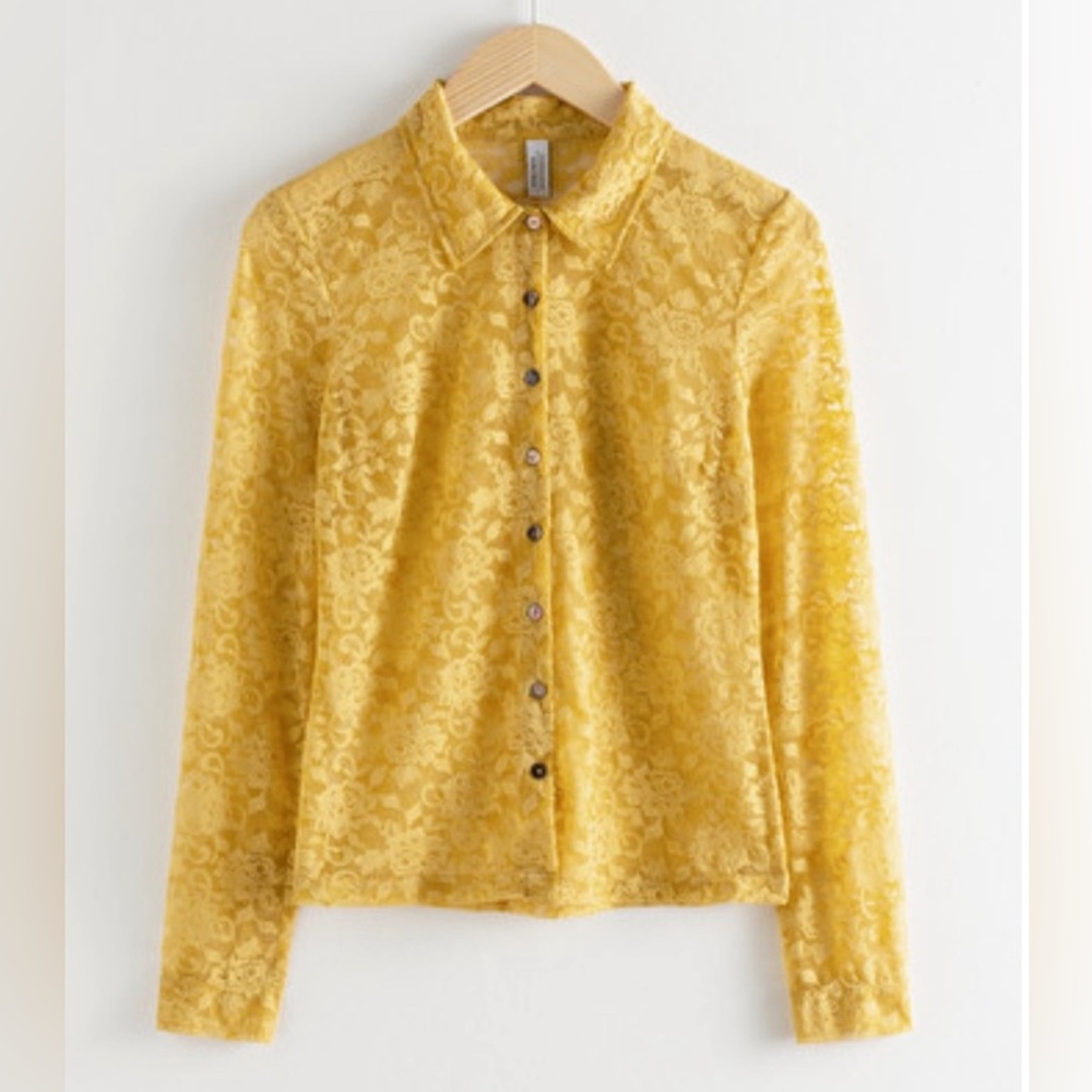 & other stories Sheer Floral Lace Blouse sz 6